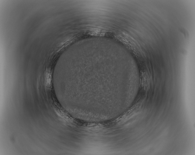 X0000111851154200908061308