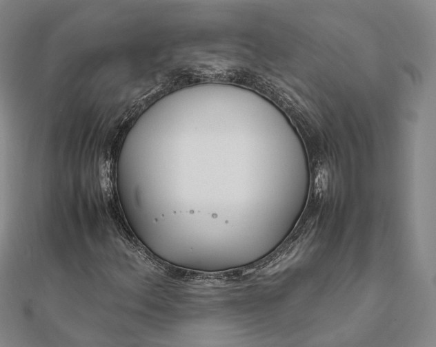 X0000111851156200908061308