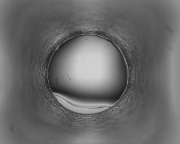 X0000111851157200908061308