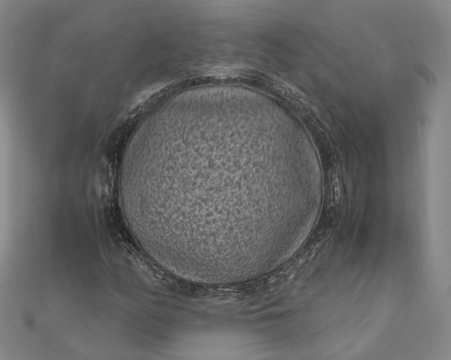 X0000111851158200908061308