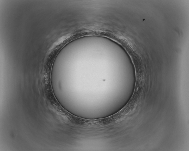 X0000111851159200908061308