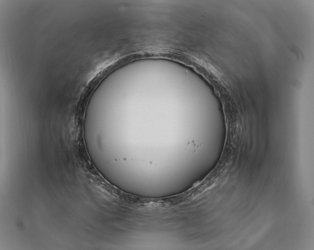 X0000111851160200908061308