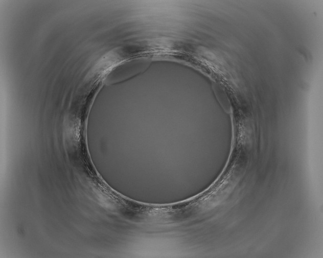 X0000111851161200908061308