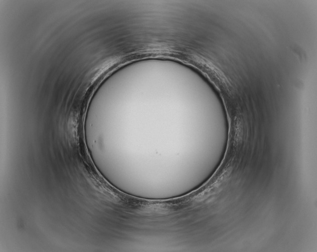 X0000111851162200908061308