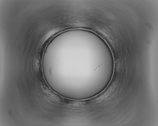 X0000111851163200908061308