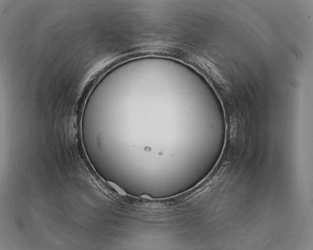 X0000111851164200908061308