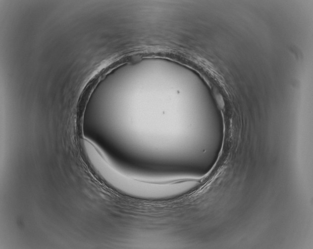 X0000111851165200908061308