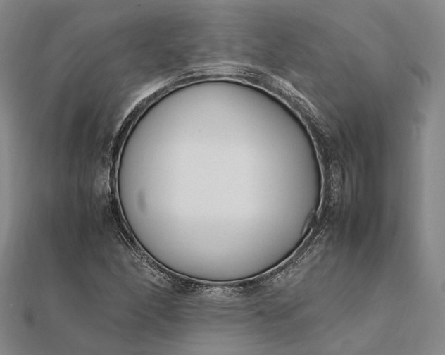 X0000111851166200908061308