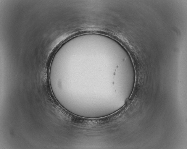 X0000111851167200908061308