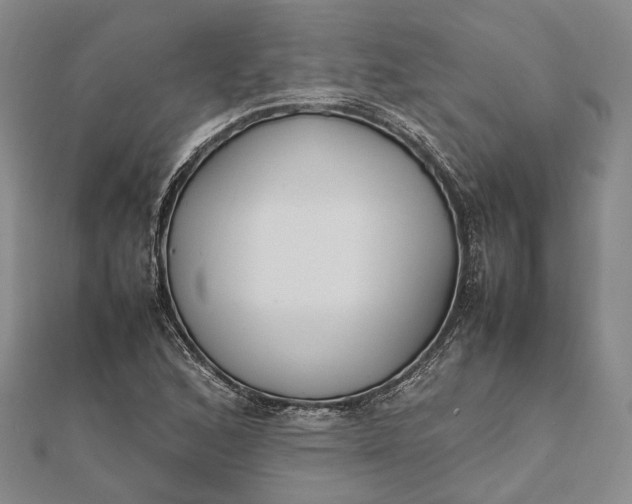 X0000111851168200908061308