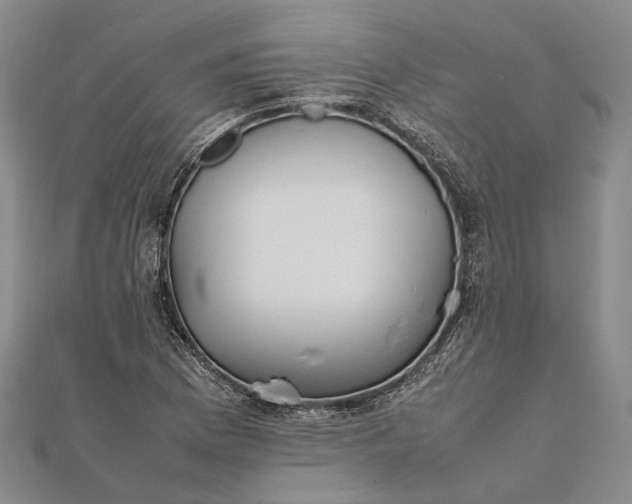 X0000111851169200908061308