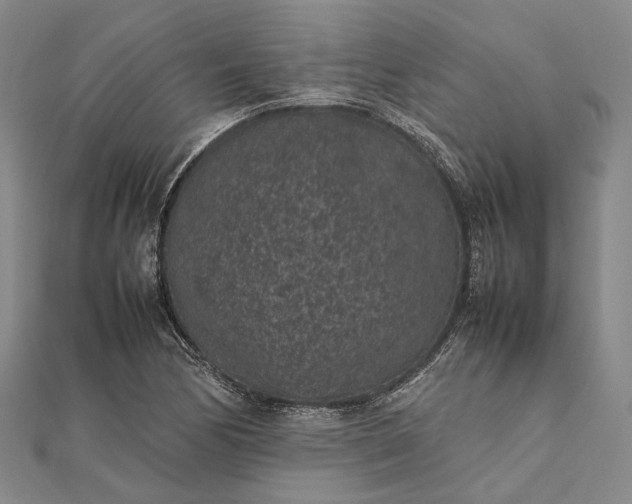 X0000111851170200908061308