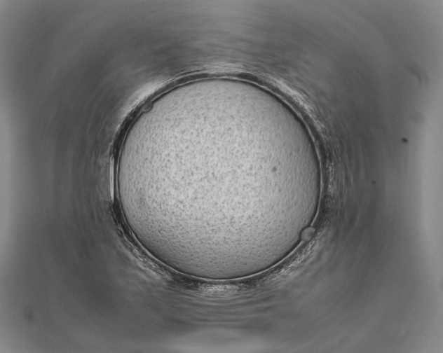 X0000111851171200908061308