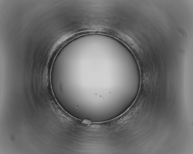 X0000111851172200908061308