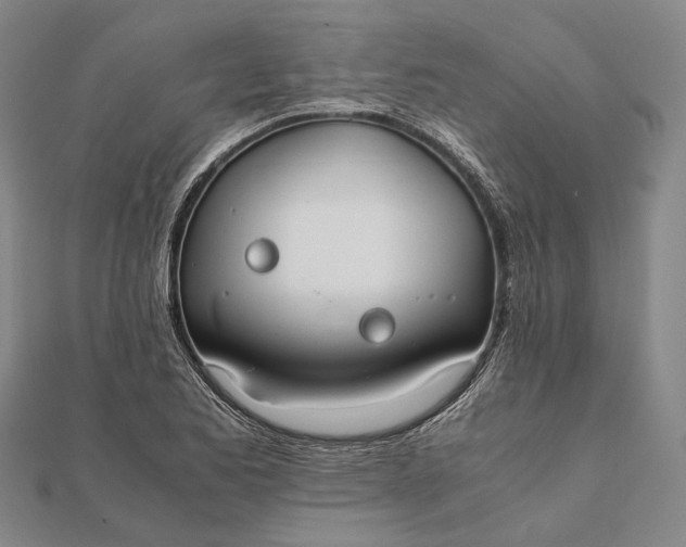 X0000111851173200908061308