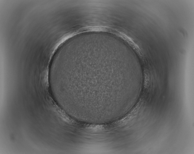 X0000111851174200908061308