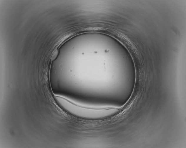 X0000111851177200908061308