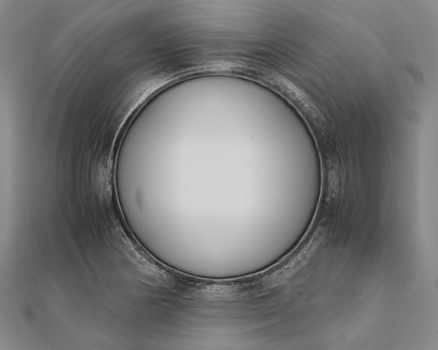 X0000111851178200908061308