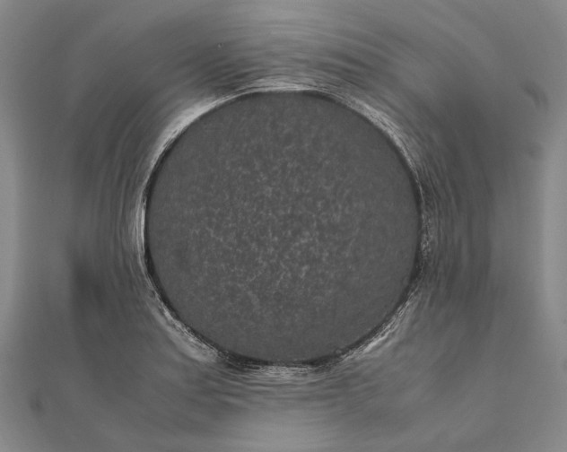 X0000111851179200908061308