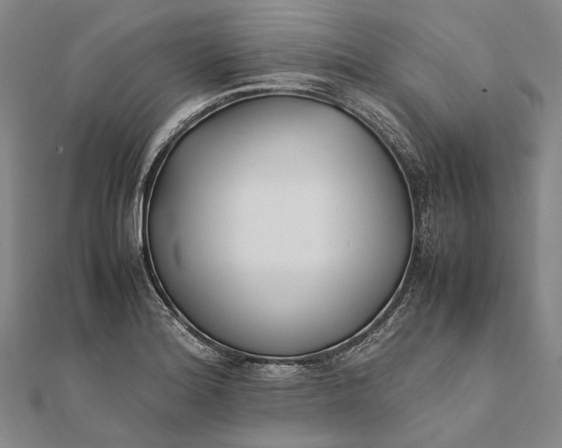 X0000111851180200908061308