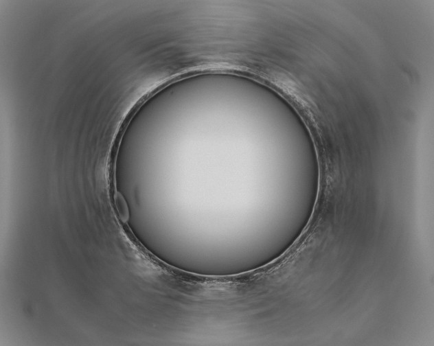 X0000111851181200908061308