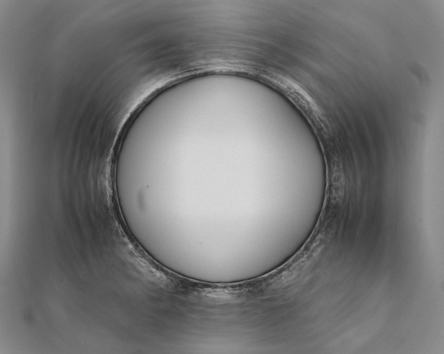 X0000111851182200908061308