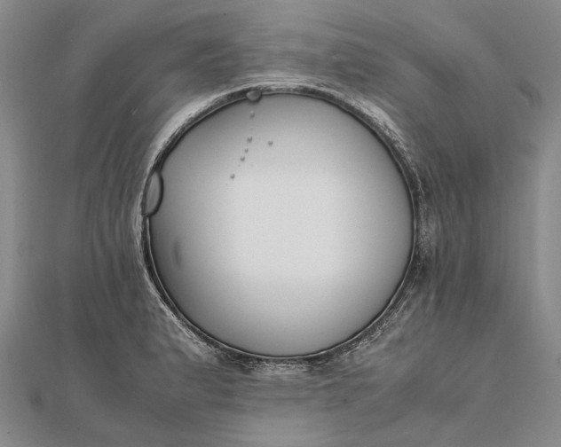 X0000111851183200908061308