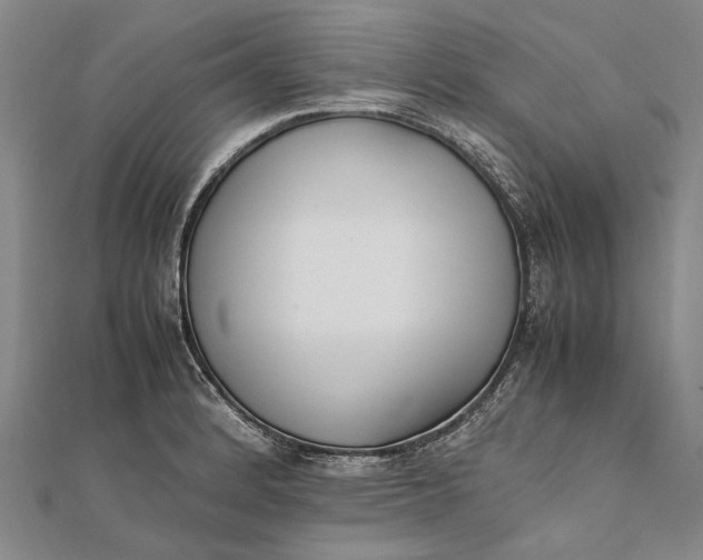 X0000111851184200908061308