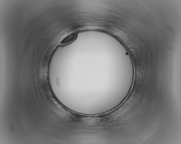 X0000111851185200908061308