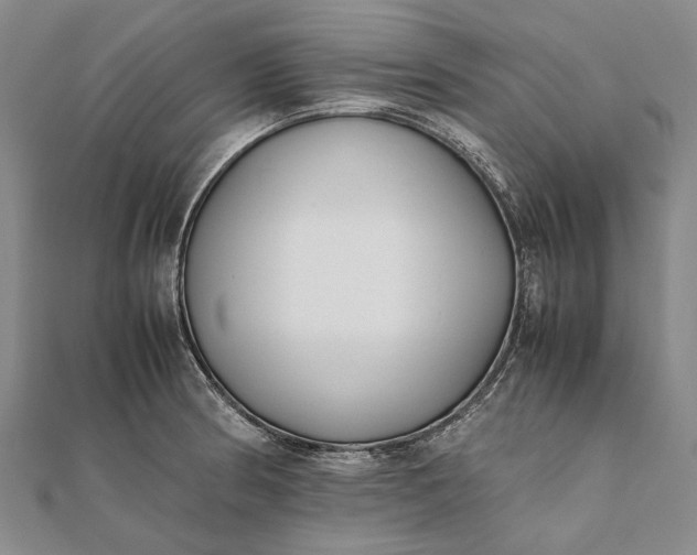 X0000111851186200908061308