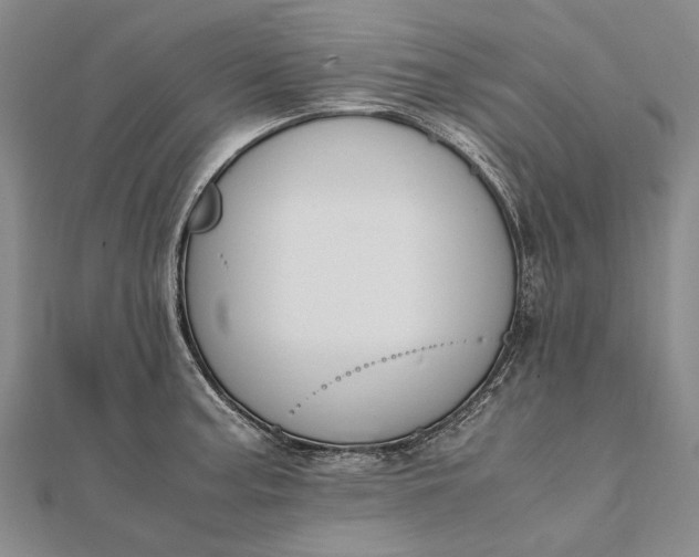 X0000111851187200908061308