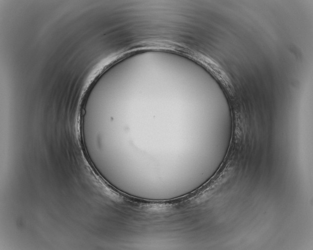 X0000111851188200908061308