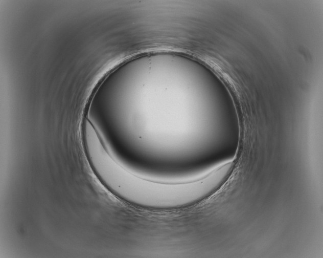 X0000111851189200908061308