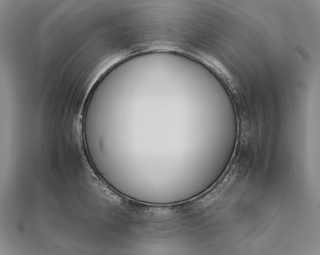 X0000111851190200908061308