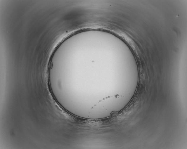 X0000111851191200908061308