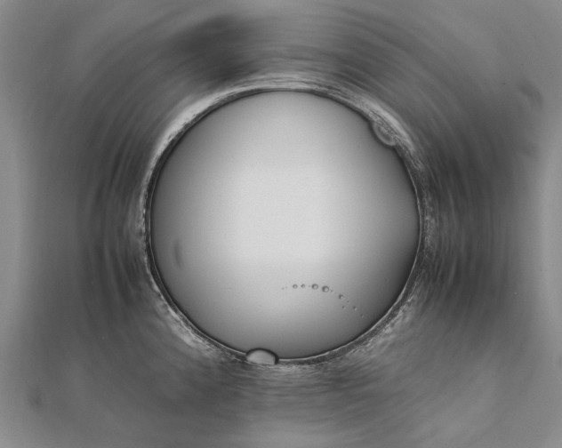 X0000111851192200908061308