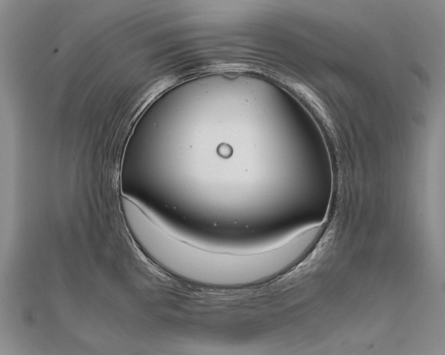 X0000111851193200908061308