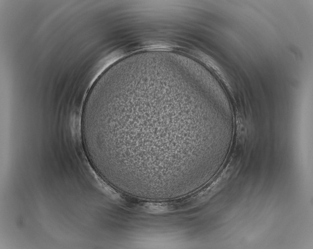 X0000111851194200908061308