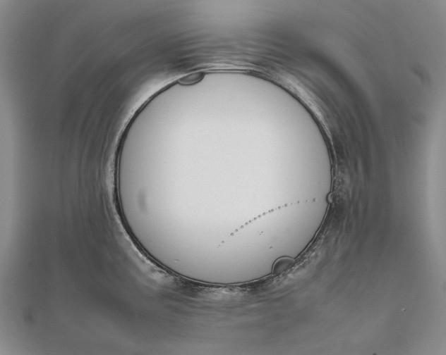 X0000111851195200908061308