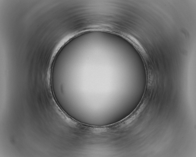 X0000111851196200908061308