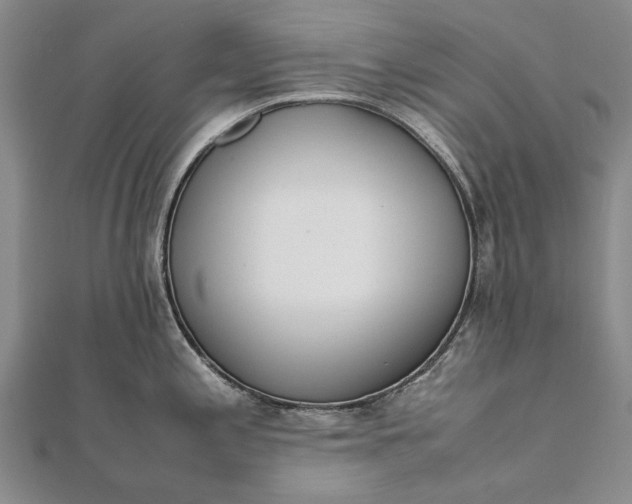 X0000111851197200908061308