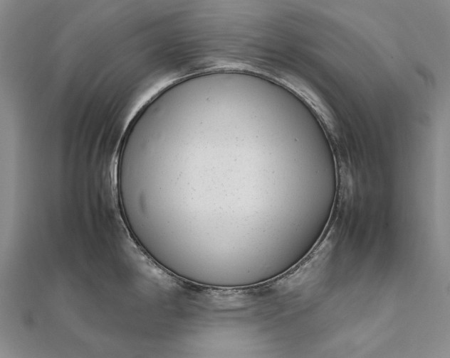 X0000111851198200908061308