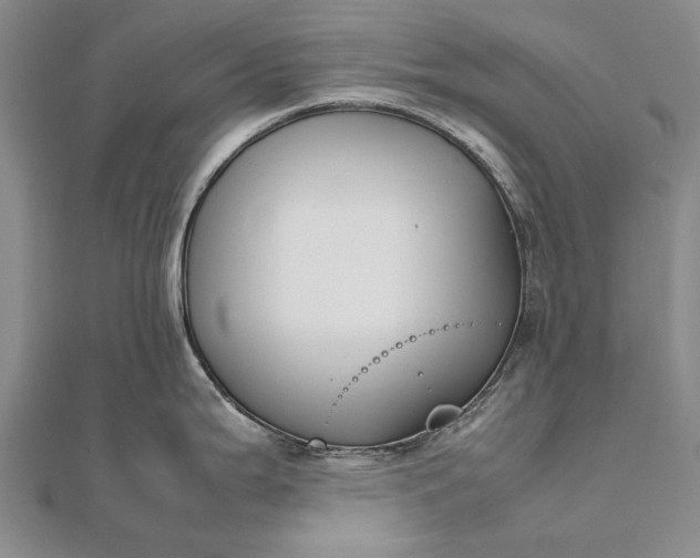 X0000111851199200908061308