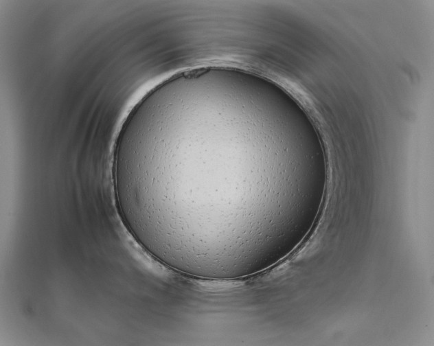 X0000111851200200908061308