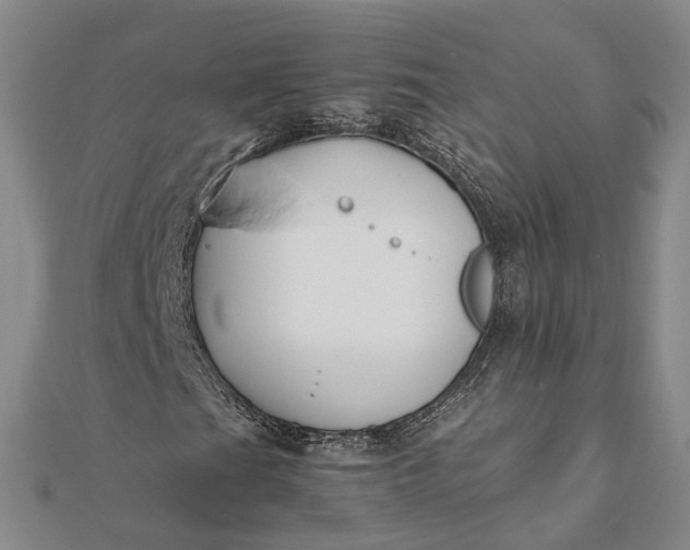 X0000111851201200908061307