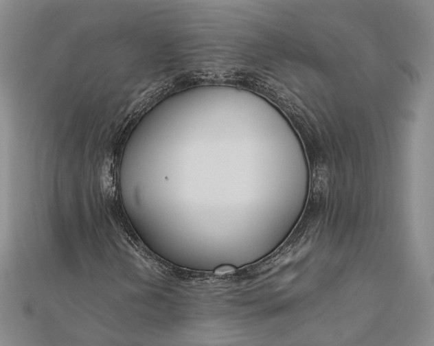 X0000111851202200908061307