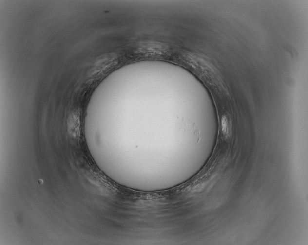 X0000111851203200908061307