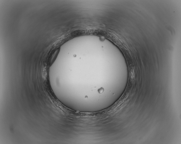 X0000111851204200908061307