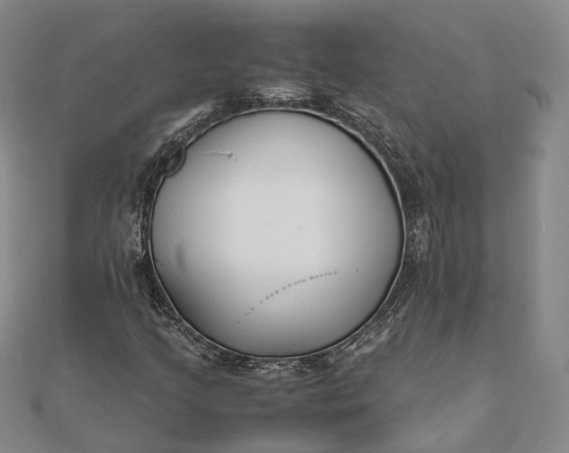 X0000111851205200908061307