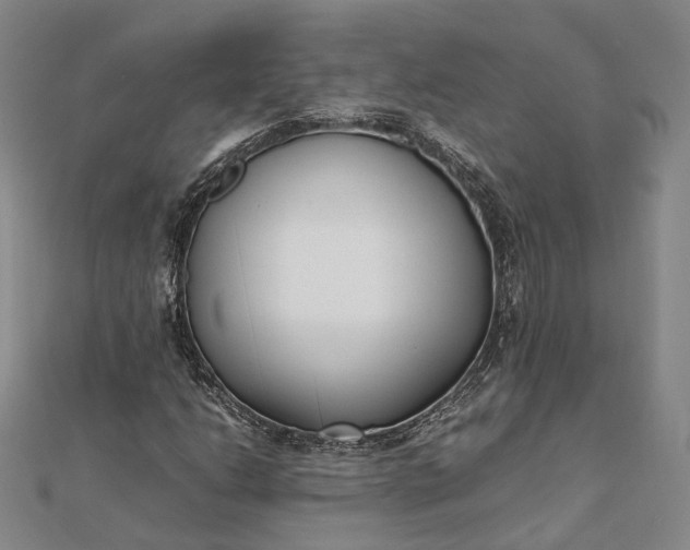 X0000111851206200908061307